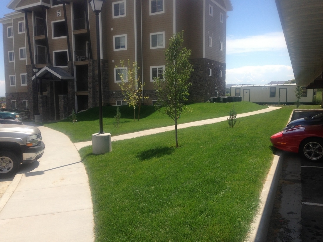 WILLOW PARK APTS- VERNAL, UT 2012 (PARKING)