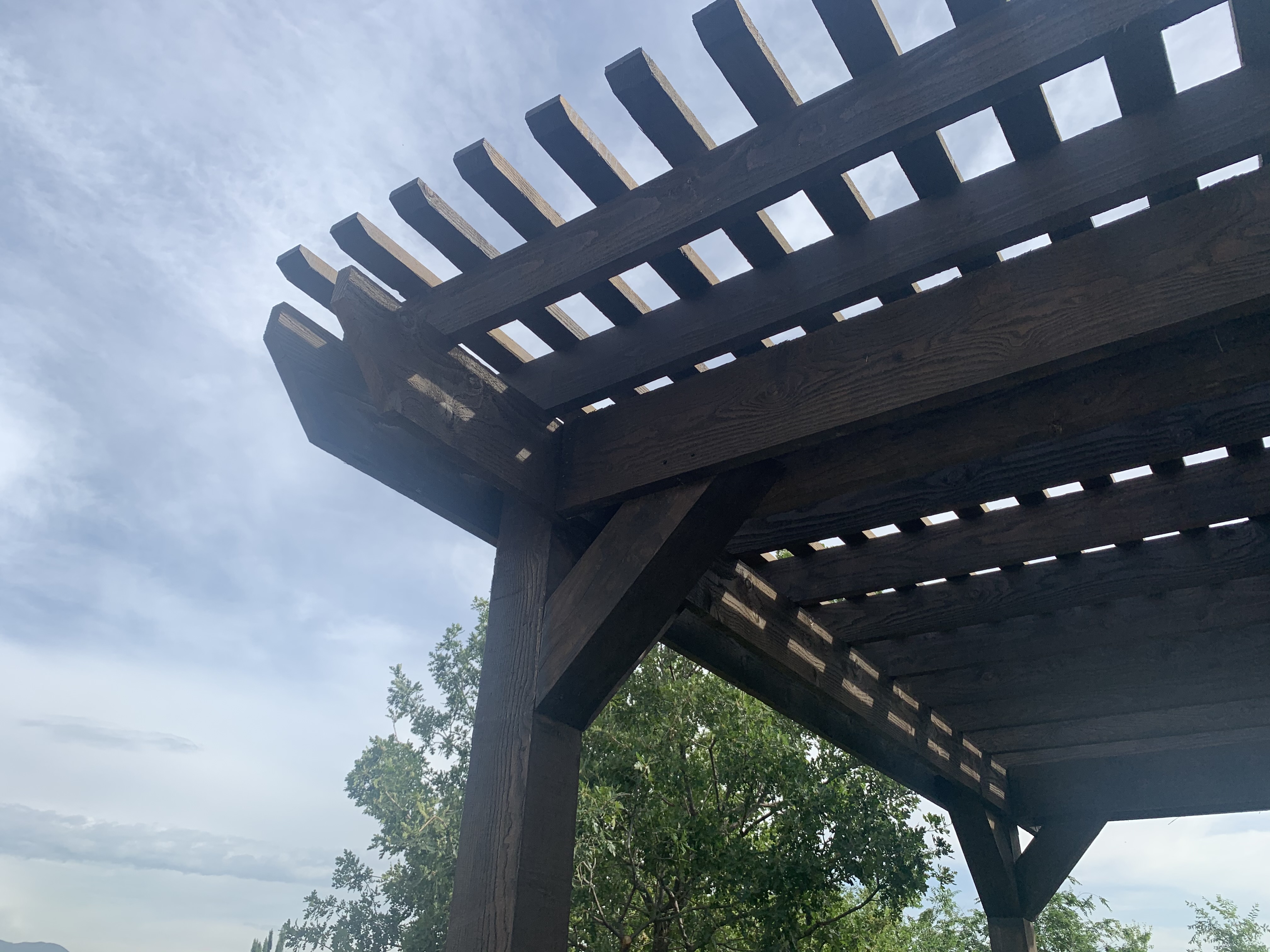 IMG-3562 Pergola built in a residential backyard side view
