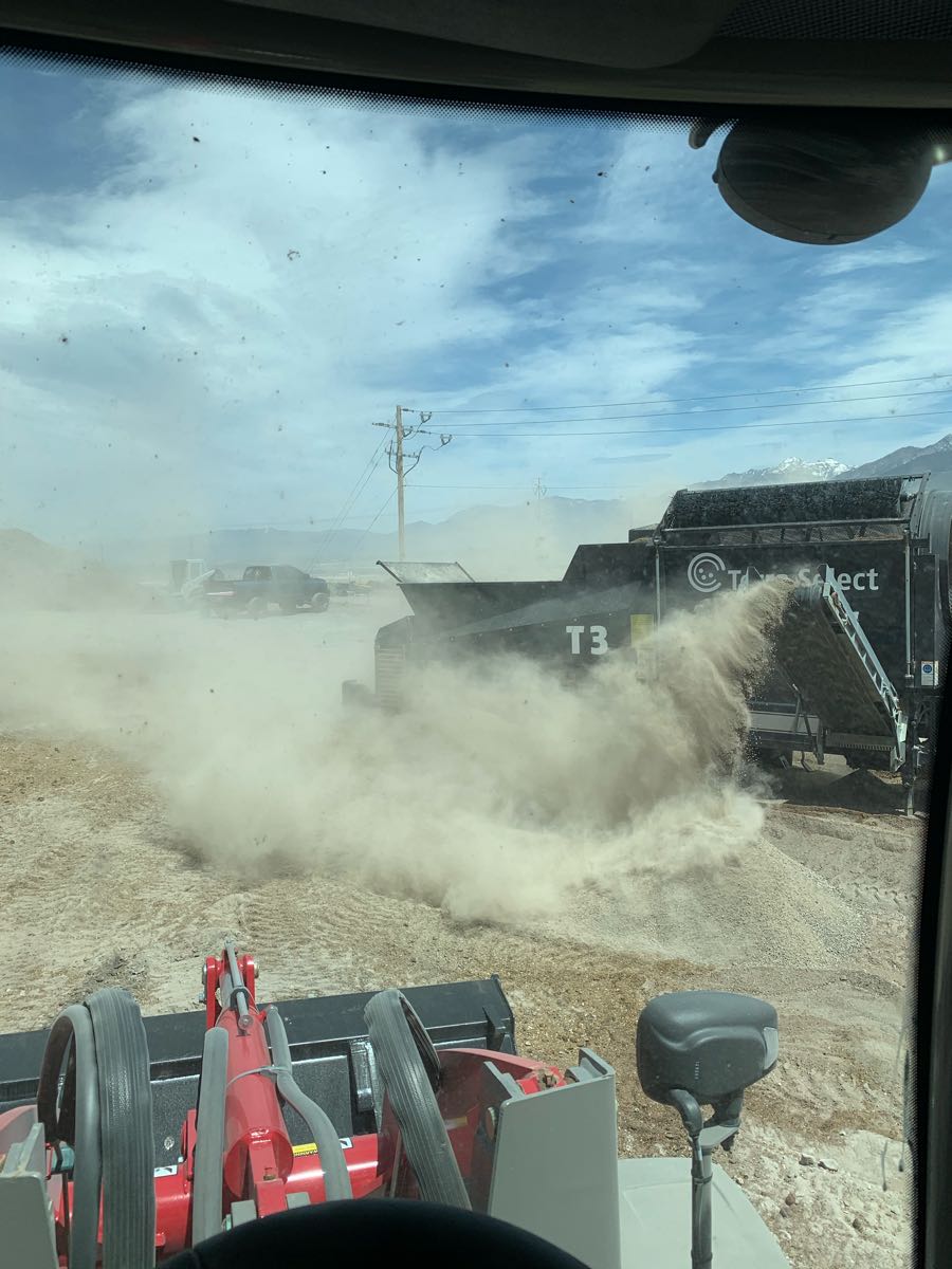 SCREEN PLANT IN MOTION