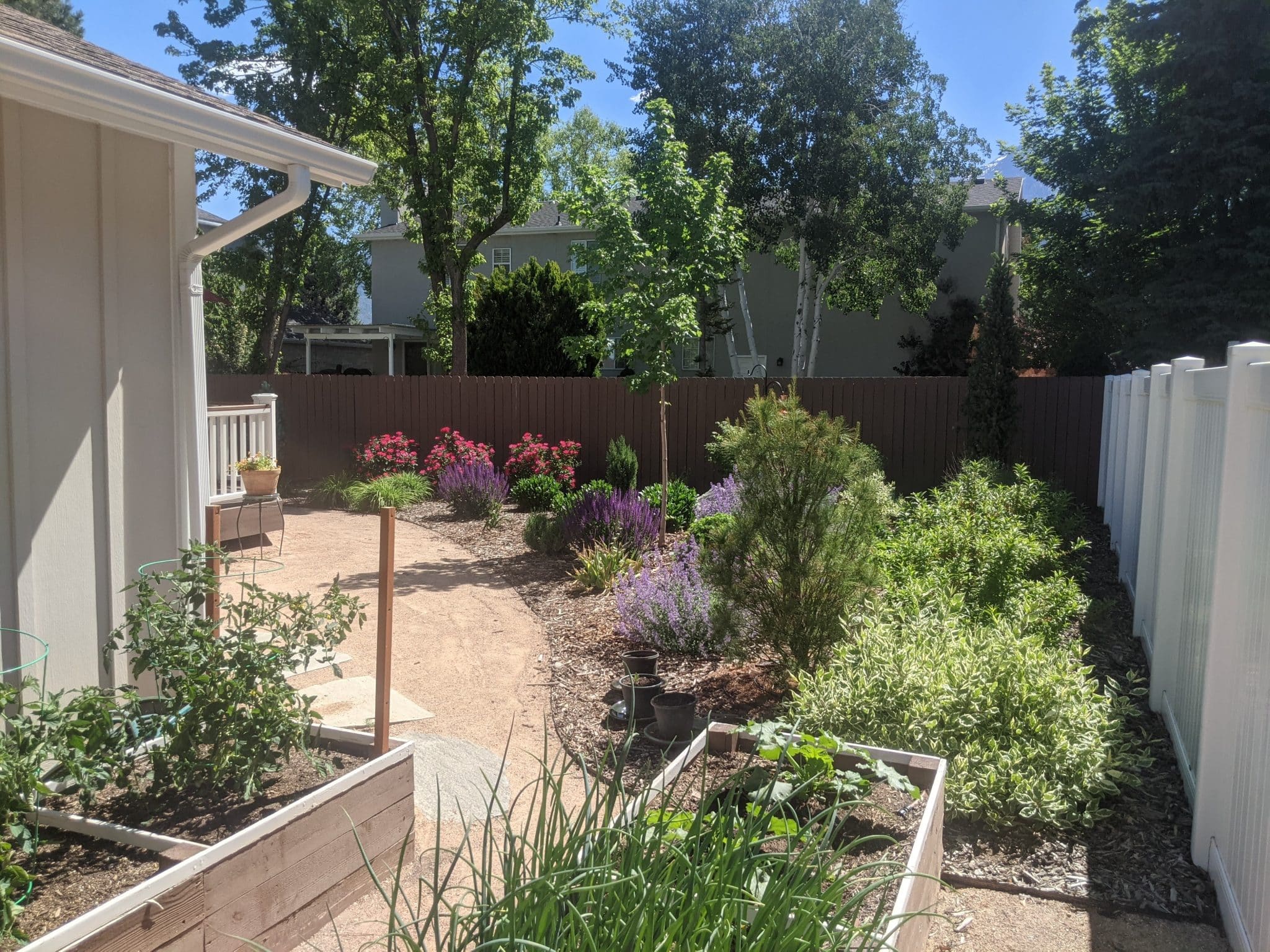 PXL_20210603_165352625