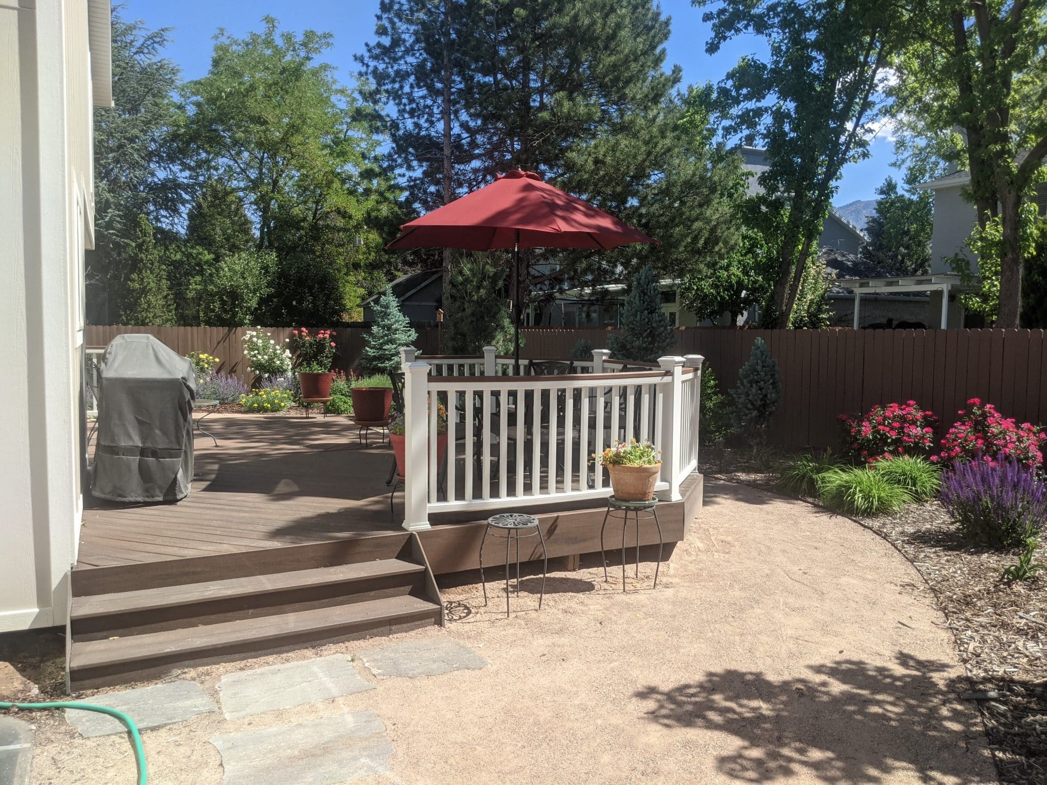 PXL_20210603_165404406