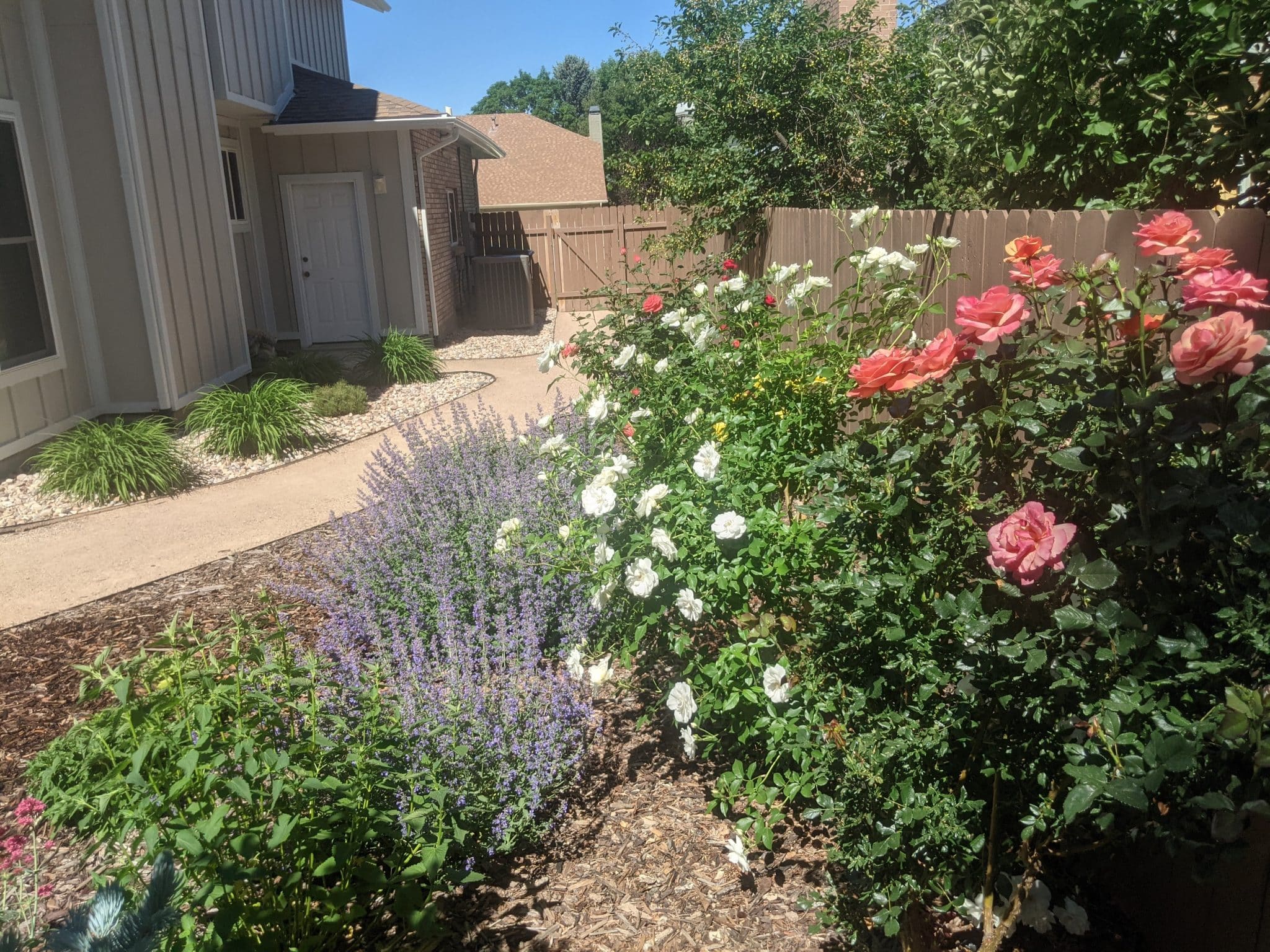 PXL_20210603_165621790