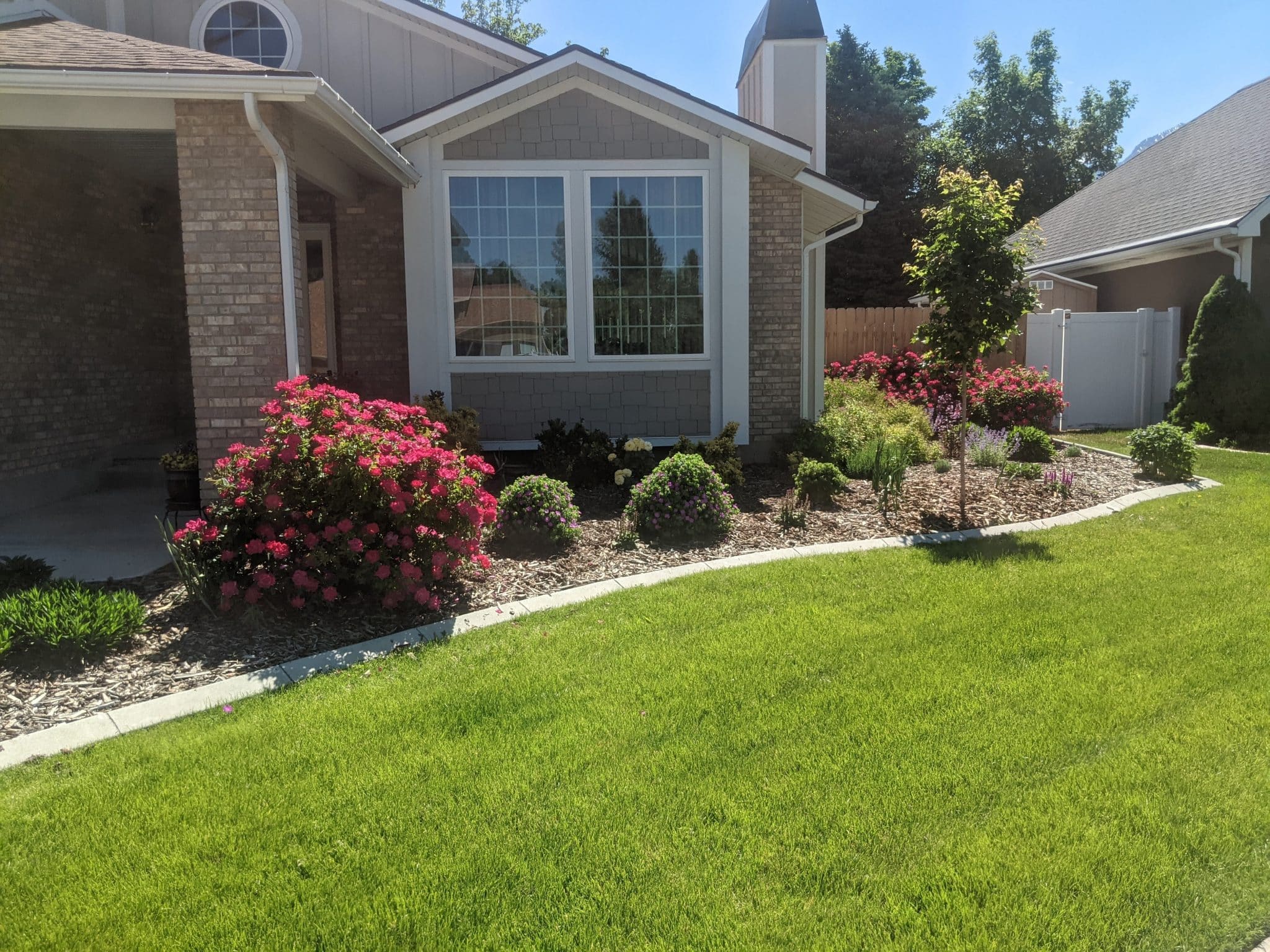 PXL_20210603_165846195