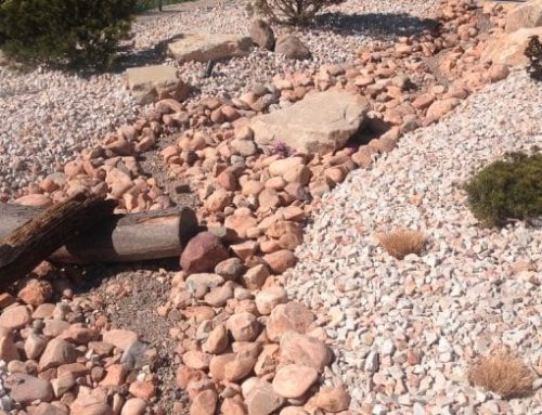 Xeriscaping – Beautiful and Great For The Environment!