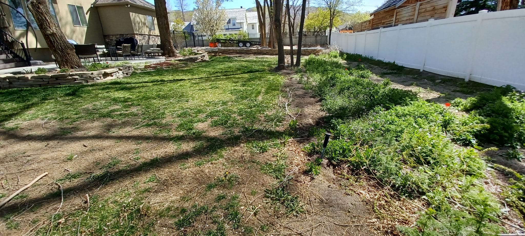 FLAGSTONE PATH (BEFORE1) Yard before landscaping instal