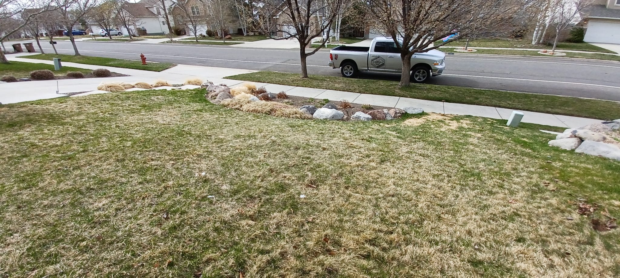 XEROSCAPE (BEFORE3) Yard before walkway instal