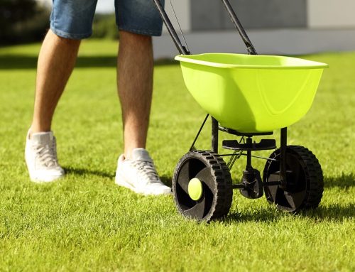 Essential Summer Maintenance Tips for Your Property and Lawn in Salt Lake City, UT