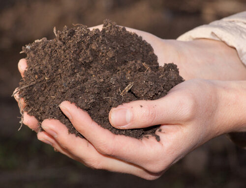 Unlock Your Landscaping Potential with Our Topsoil Yard at Huskie’z Landscaping!