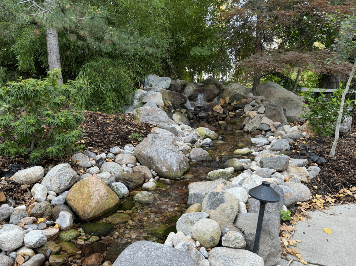 Screen Shot 2024-08-08 at 11.37.30 AM Lush greenery behind a new pond installed by Huskie'z Landscaping