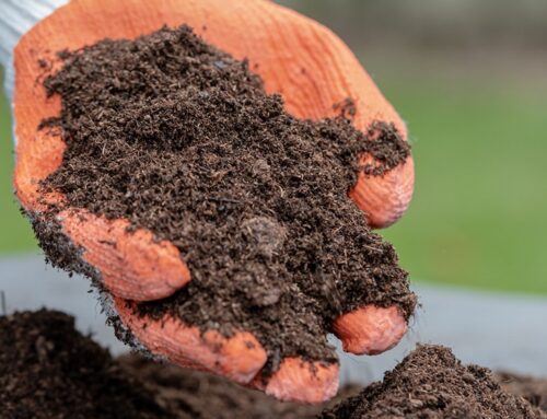Topsoil and How Your Garden Depends on It