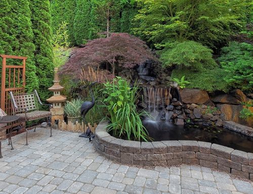 Transform Your Outdoor Space with Quality Paving and Hardscapes