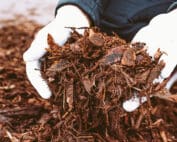 Person with gloves on handling mulch