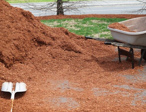 Mulch: The Secret to Lower Water Bills and a Beautiful Yard