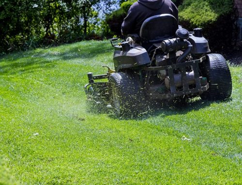 Why Regular Lawn Maintenance Is the Key to a Healthy Yard