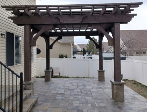 Top Landscaping Trends Homeowners Are Choosing This Year