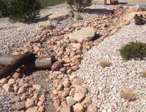 Xeriscaping Is The Smart Solution For Dry Utah Climates