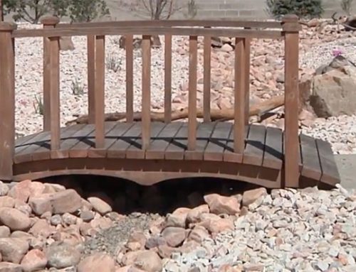 Why Xeriscaping is Perfect for Dry Climates